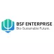 BSF ENTERPRISE ORD 1P