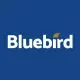 BLUEBIRD MINING VENTURES NPV (DI)