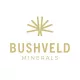 BUSHVELD MINERALS LIMITED ORD 1P