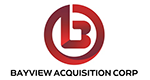 BAYVIEW ACQUISITION CORP ORD.